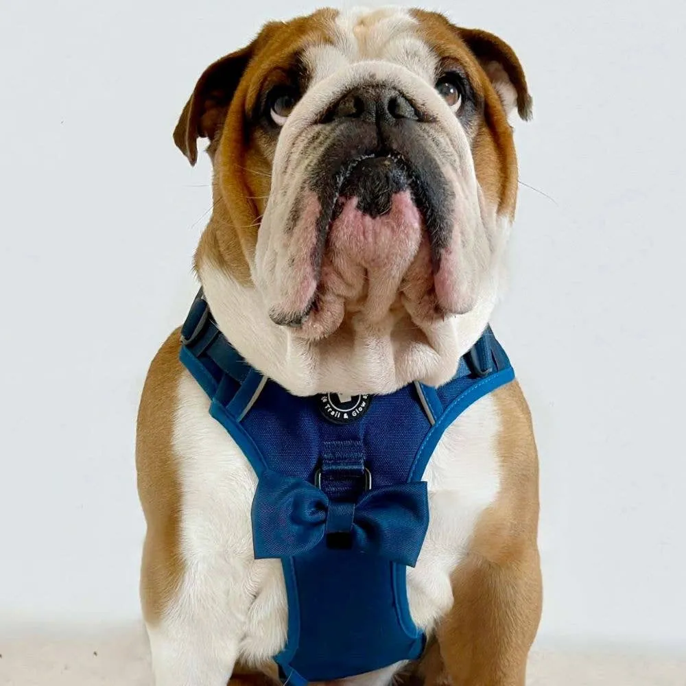 Trail & Glow® Dog Harness - The Ink Blue One