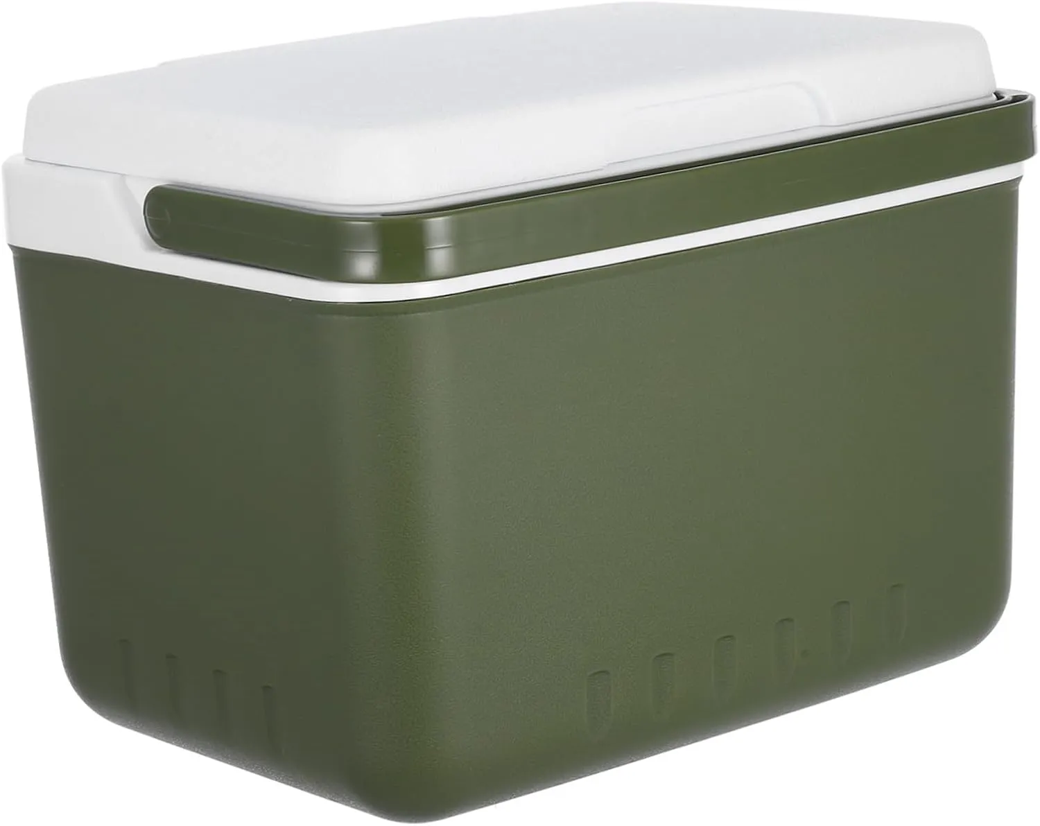 Travel Cooler Handle Insulated Cooler Box for Camping Fishing Outdoor Activities Compact