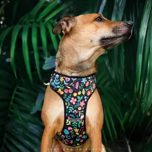 Tropical Paradise  Dog Body Mesh Harness