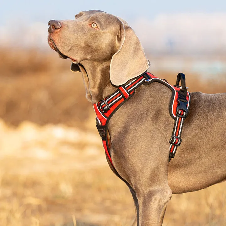 True Love No Pull Explosion Proof Dog Harness - Red, XS