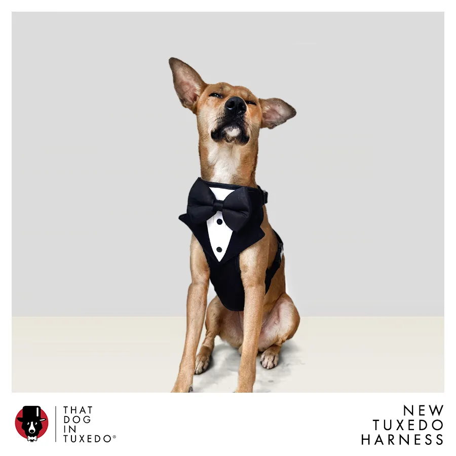 Tuxedo Dog Body Mesh Harness - Black