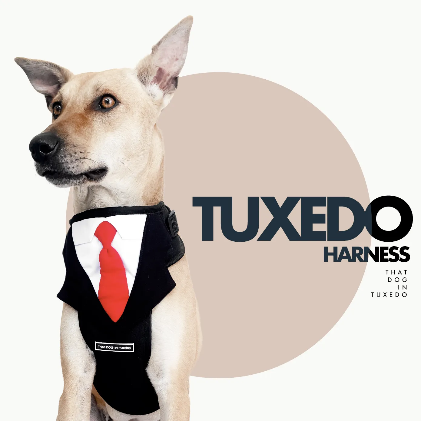 Tuxedo with Tie Dog Body Mesh Harness - Black