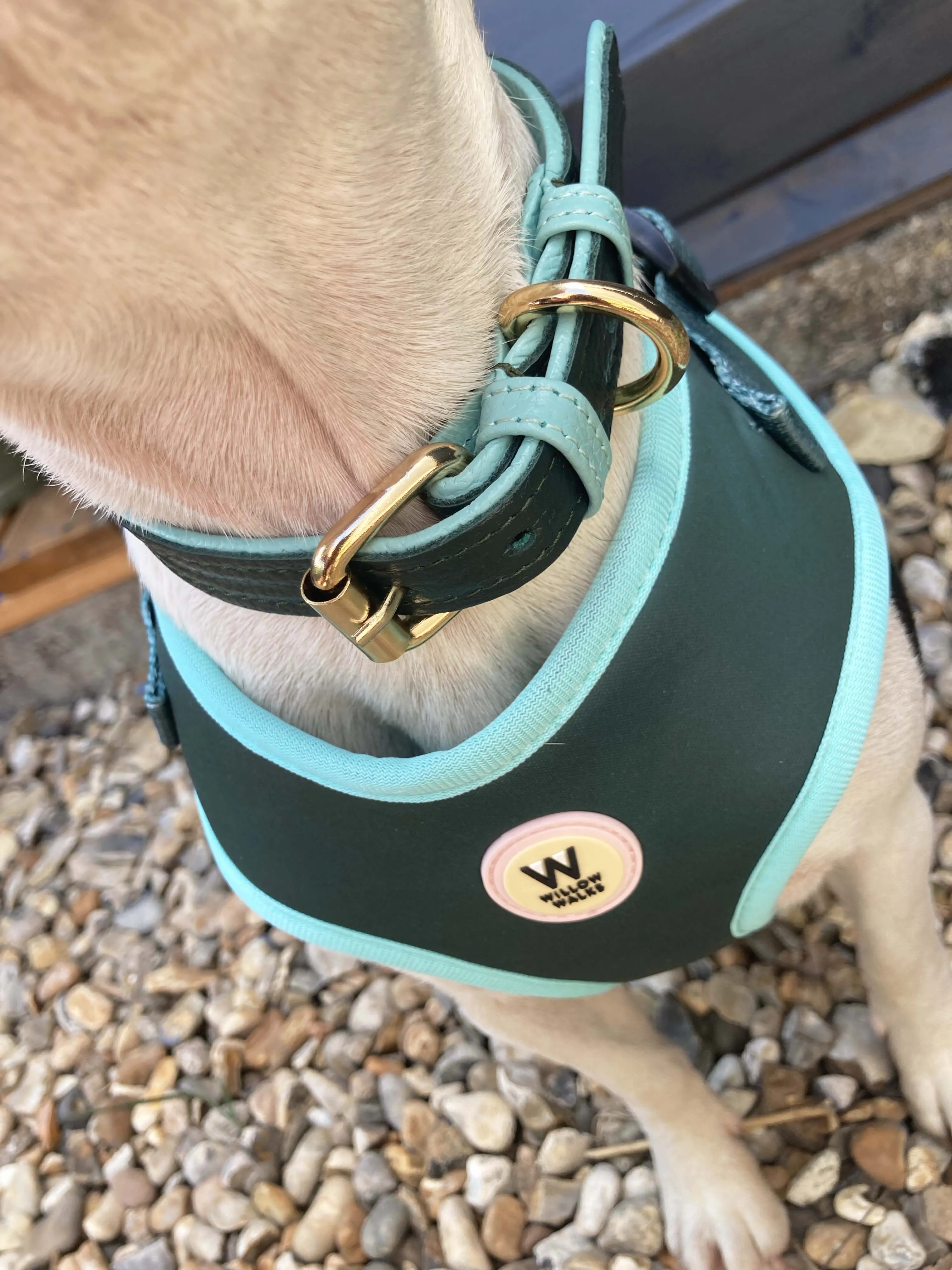 Willow Walks Adjustable Harness in dark green and aqua