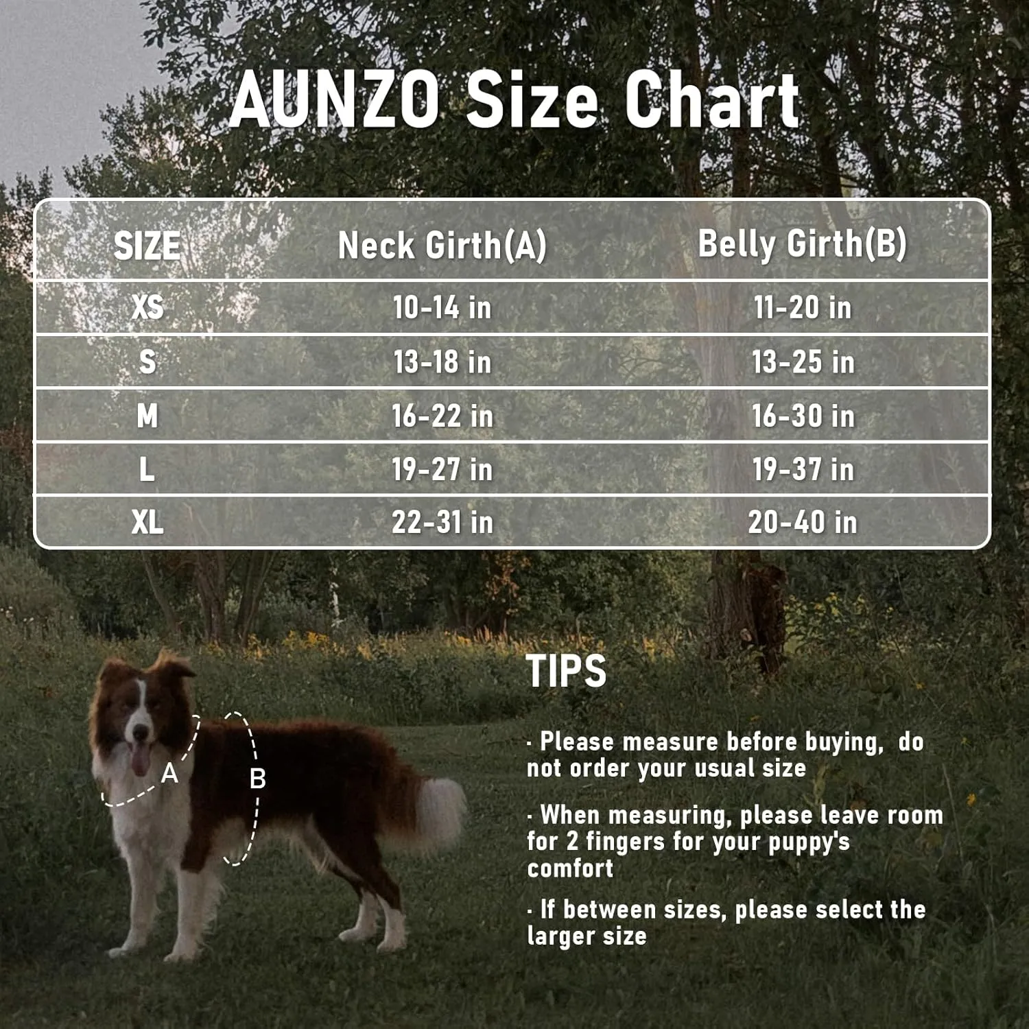 X-Large Dog Harness, No Pull Easy Walker Escape Proof Vest with Handle, Reflective Pet Harness with 2 Leash Clips and 3 Buckles, No Rub No Choke, Newfoundland Alaska German Shepherd Mastiffs, XL