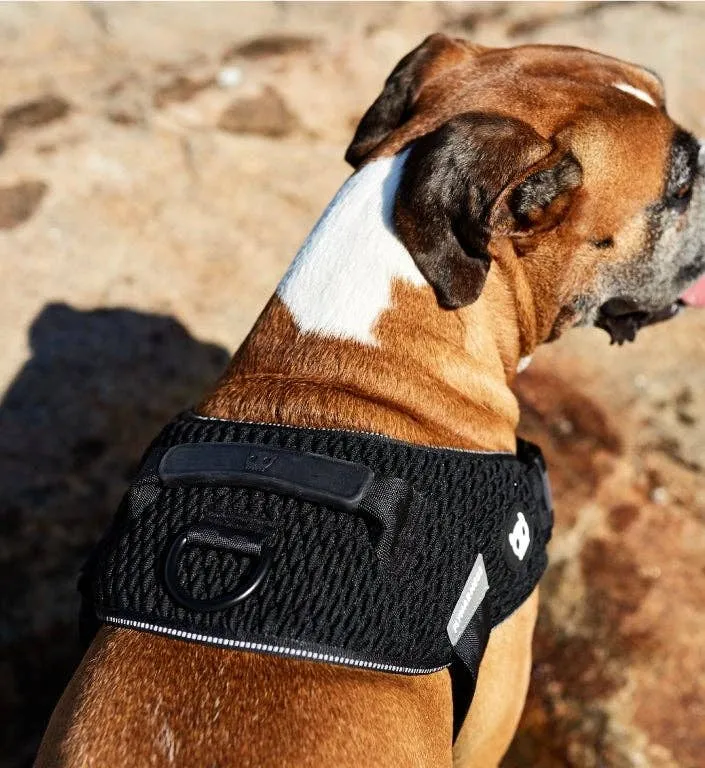 Zee.Dog - Gotham | FlyHarness: Size 1