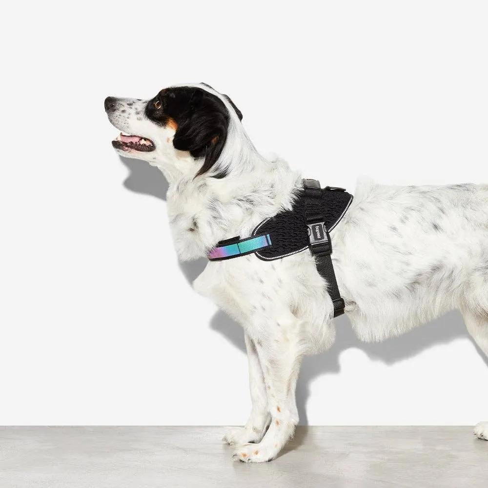 Zee.Dog - Gotham | FlyHarness: Size 1