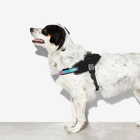 Zee.Dog - Gotham | FlyHarness: Size 1