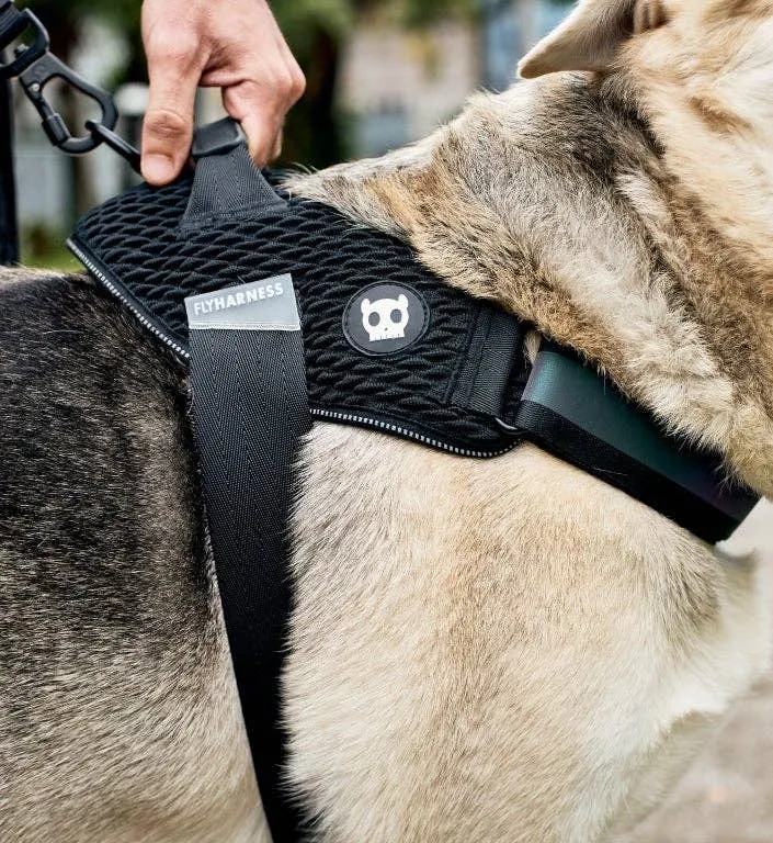 Zee.Dog - Gotham | FlyHarness: Size 1