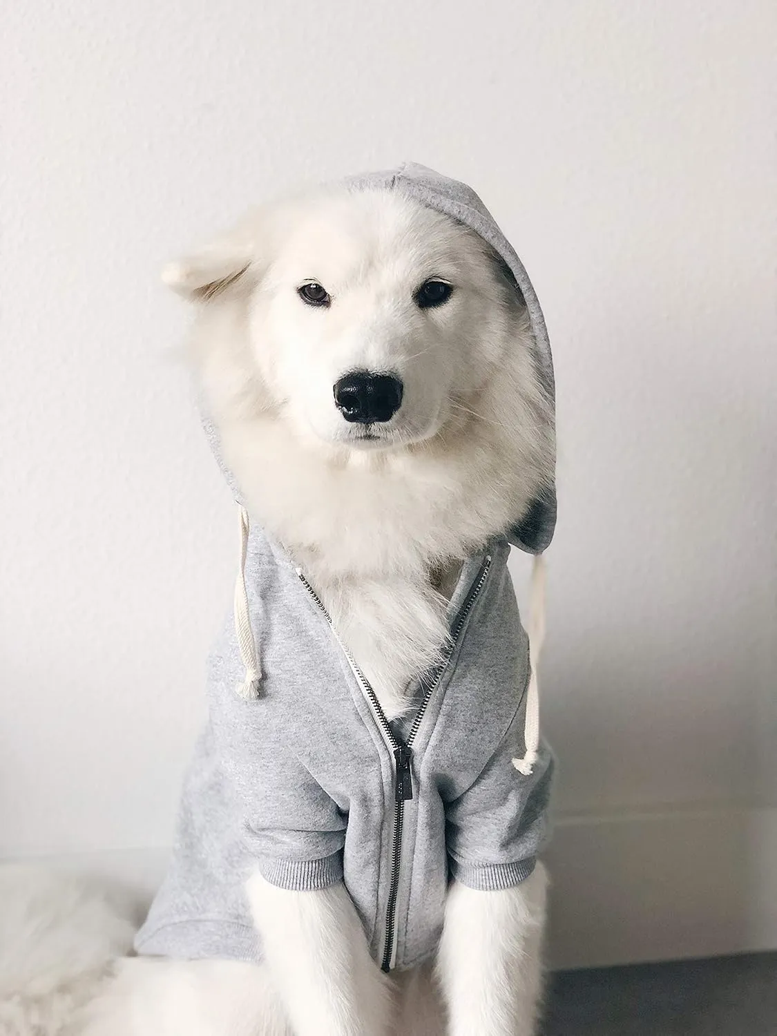 Zip Up Adventure Dog Hoodie with Hook & Loop Pockets and Adjustable Drawstring Hood - XXS to XXL - Multiple Colors - Comfortable & Versatile Dog Hoodies (Light Grey, XXS)