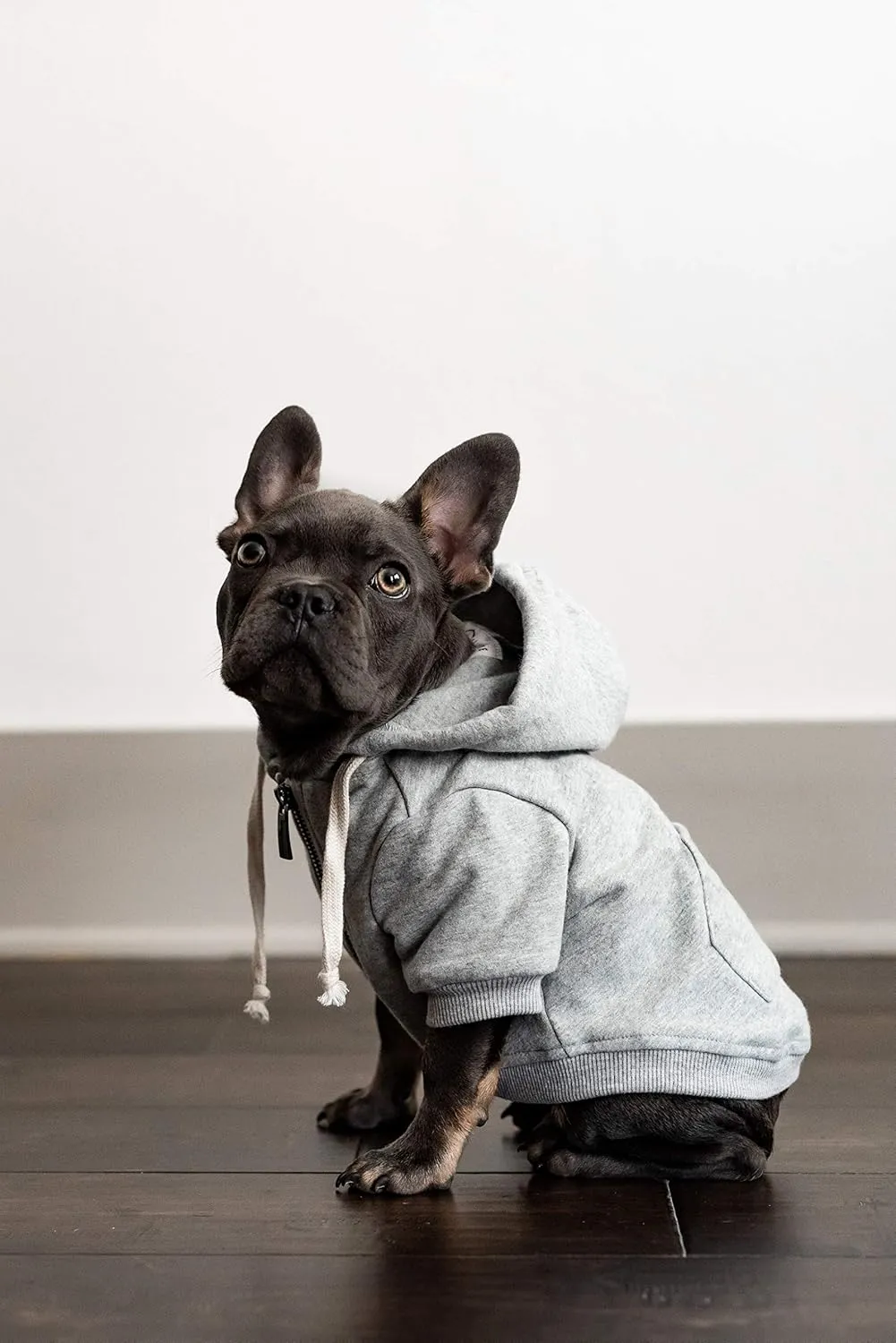 Zip Up Adventure Dog Hoodie with Hook & Loop Pockets and Adjustable Drawstring Hood - XXS to XXL - Multiple Colors - Comfortable & Versatile Dog Hoodies (Light Grey, XXS)